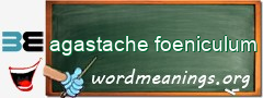 WordMeaning blackboard for agastache foeniculum